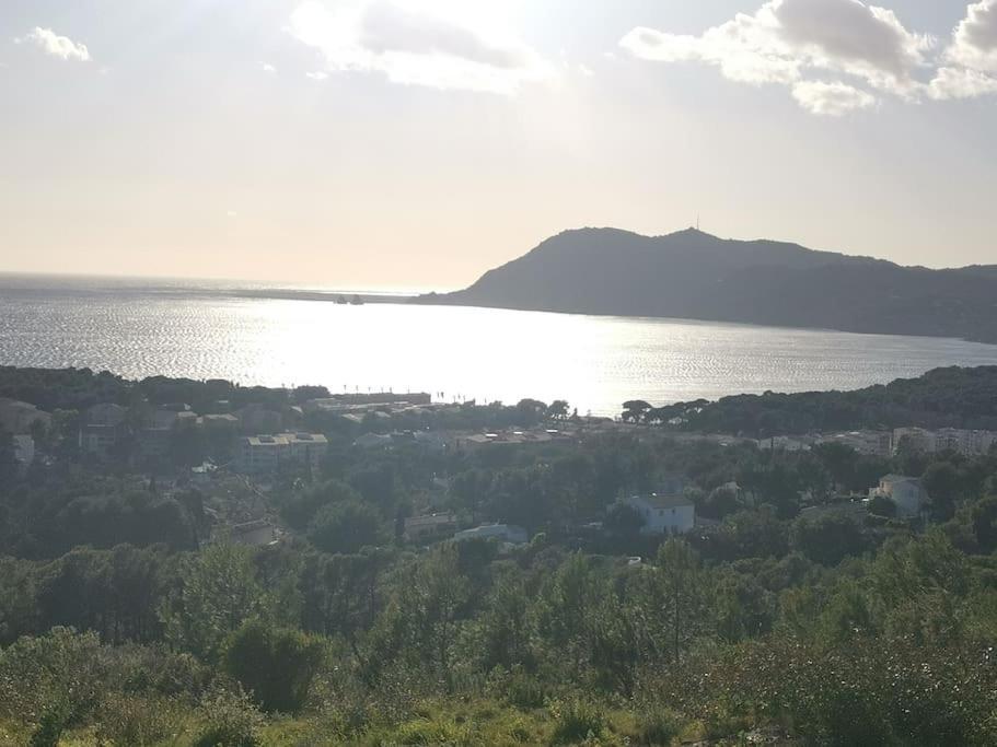 Appartement Saint-mandrier Ou La Presqu'ile De Beaute